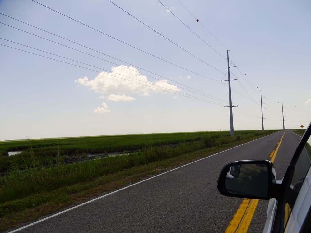 Empty highway running through coastal marshland, seen from the car