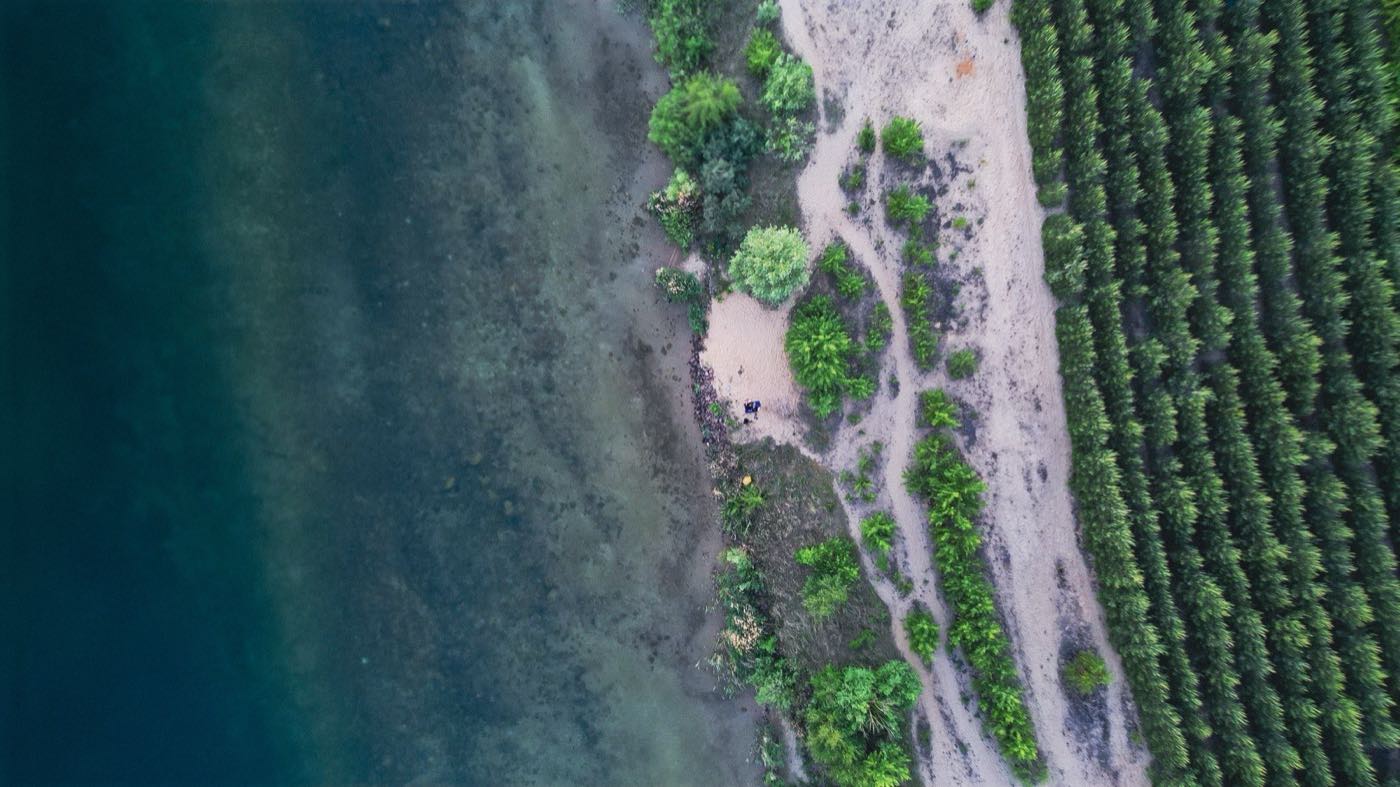 Drone photography — lake